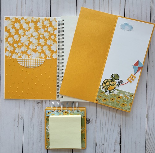 playing in the rain set inside