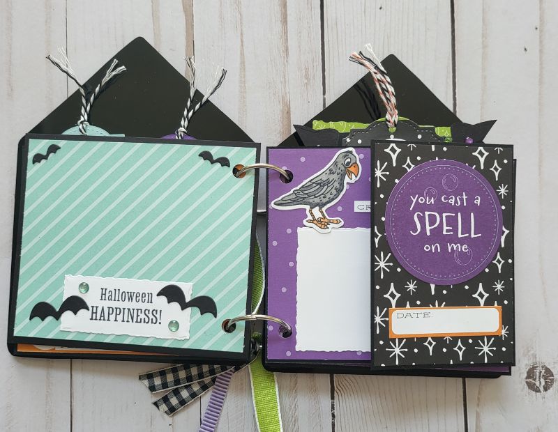 Potions & Spells Acrylic Memory Book, Halloween, spooky, witch, bat, black, green, purple.