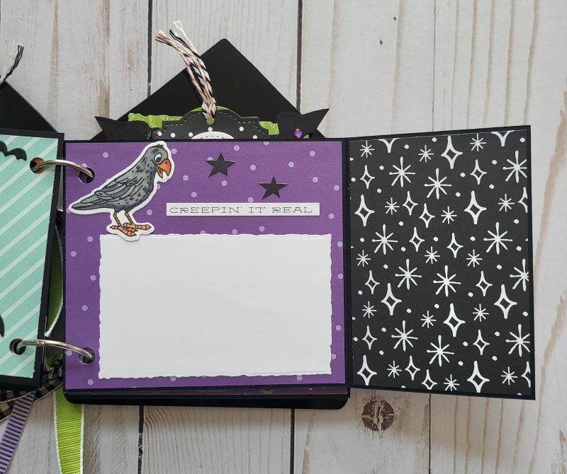 Potions & Spells Acrylic Memory Book, Halloween, spooky, witch, bat, black, green, purple.