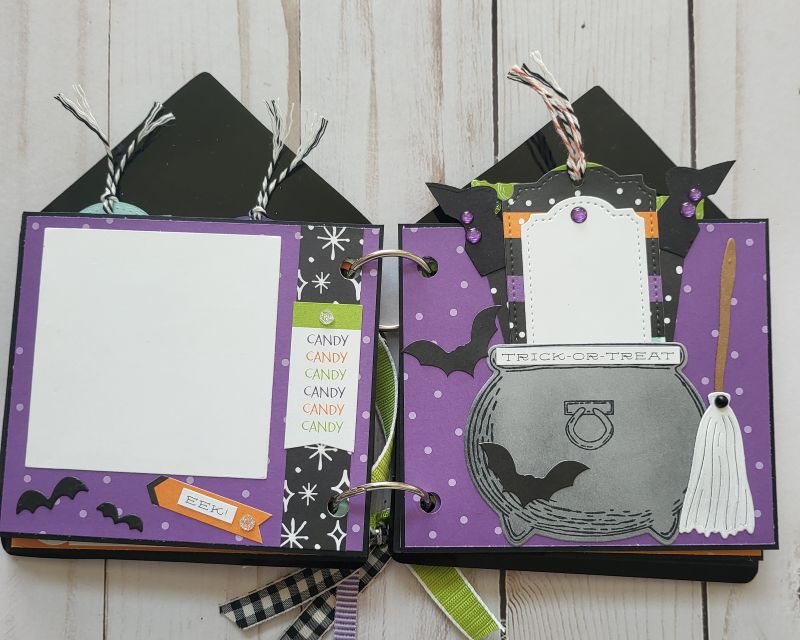 Potions & Spells Acrylic Memory Book, Halloween, spooky, witch, bat, black, green, purple.