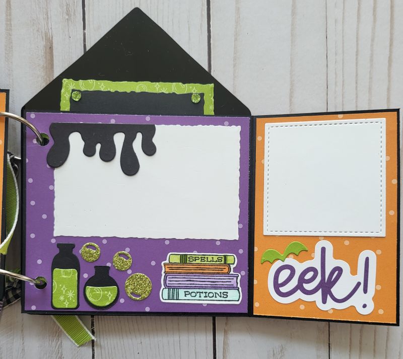 Potions & Spells Acrylic Memory Book, Halloween, spooky, witch, bat, black, green, purple.