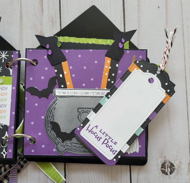 Potions & Spells Acrylic Memory Book, Halloween, spooky, witch, bat, black, green, purple.