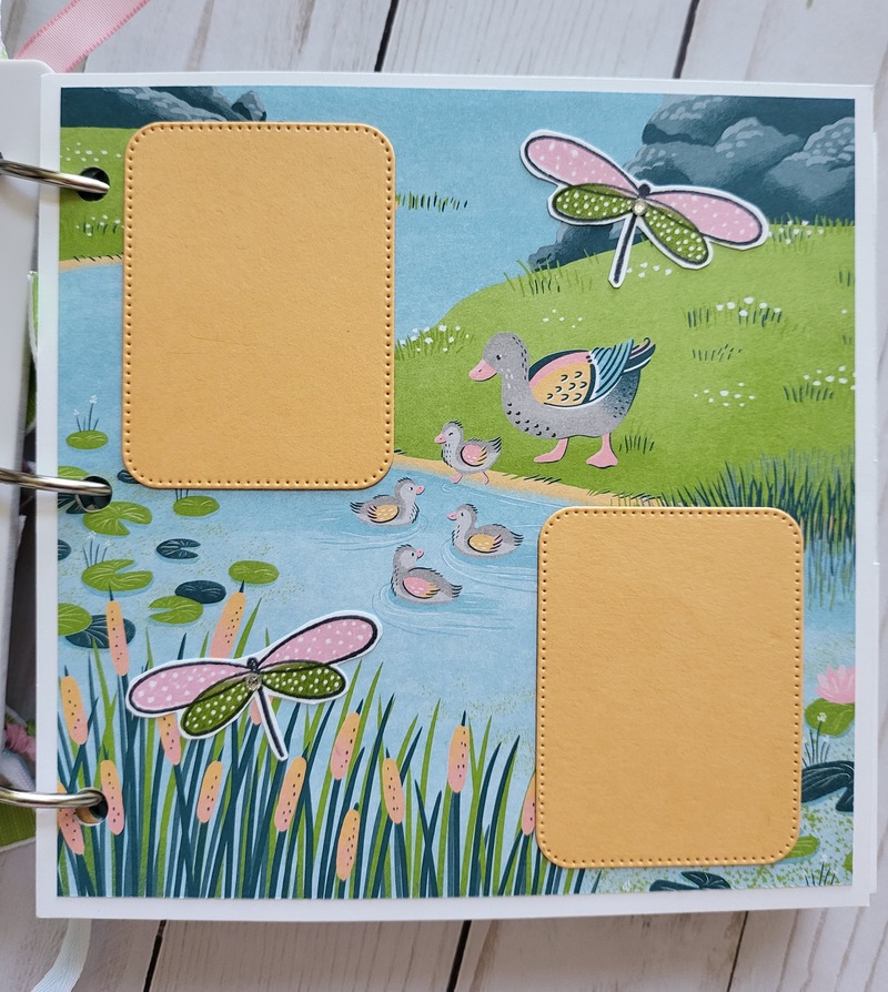 charming duck white acrylic album page 1