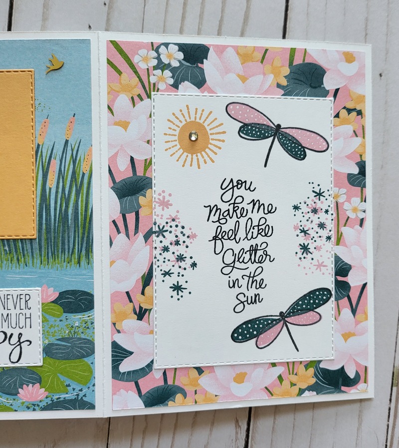 charming duck white acrylic album page 5 fold out