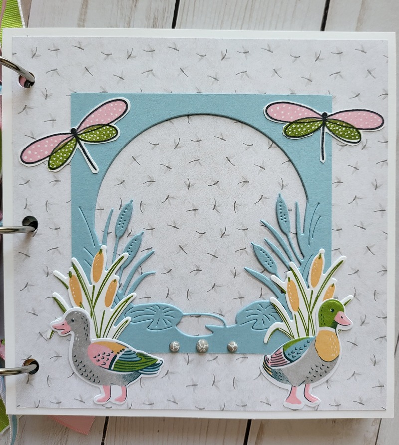 charming duck white acrylic album page 7a