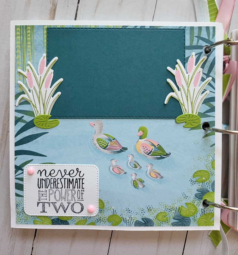 charming duck white acrylic album page 8