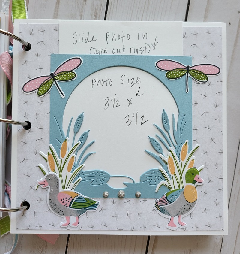 charming duck white acrylic album page7