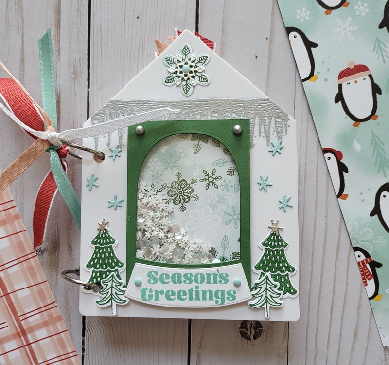 frozen edges acrylic album front