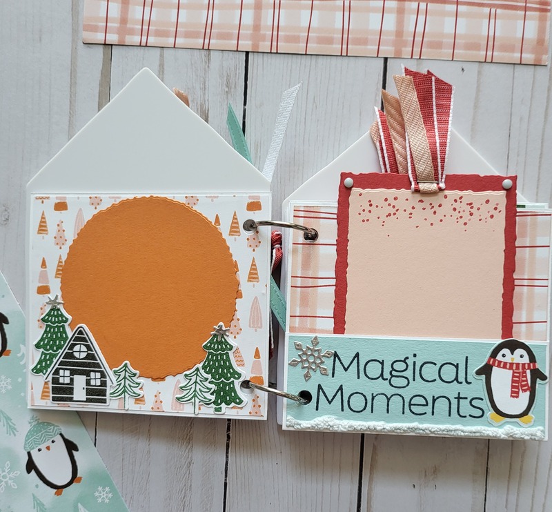 frozen edges acrylic album page 1